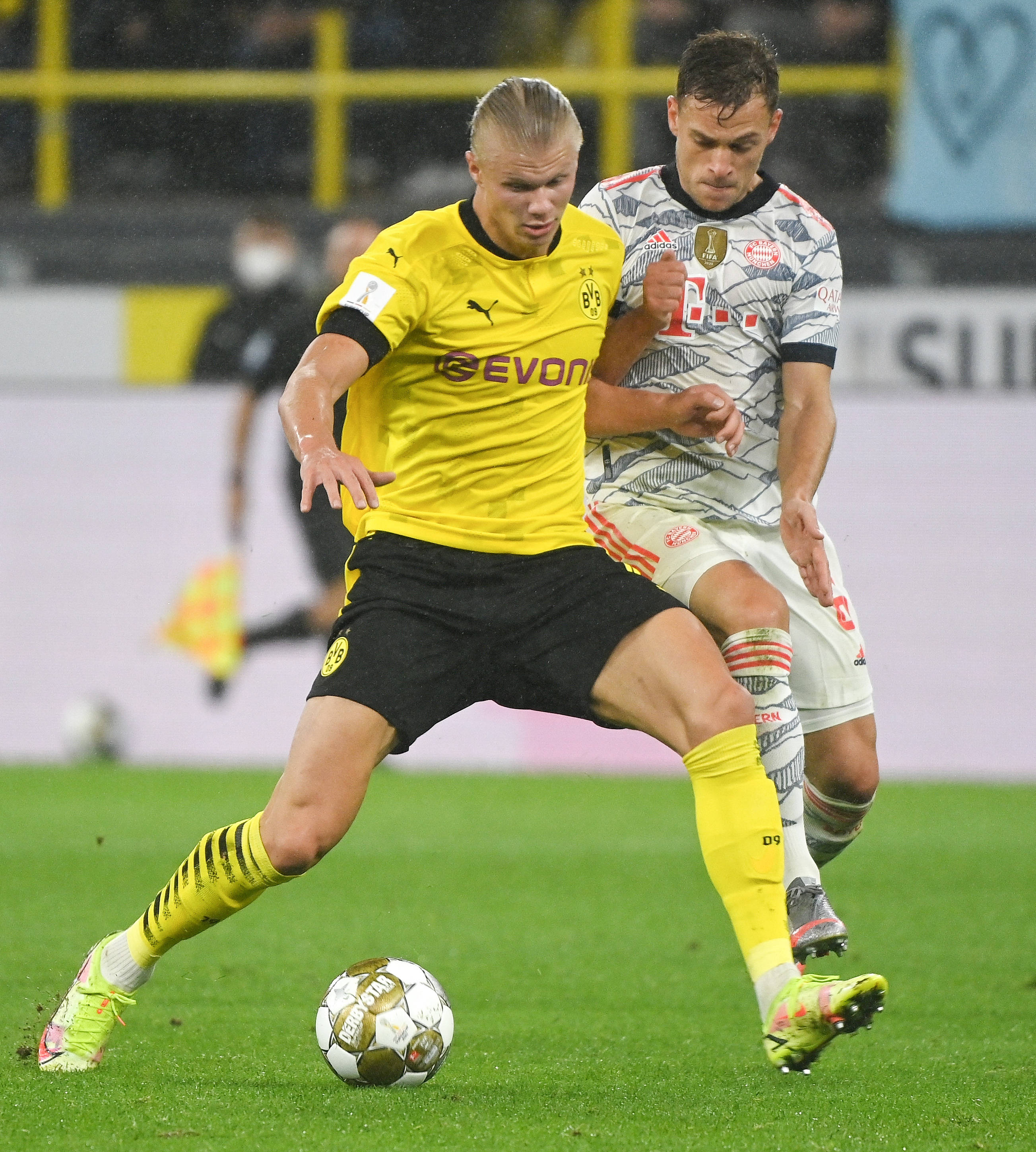 这在票选阶 这在票选阶