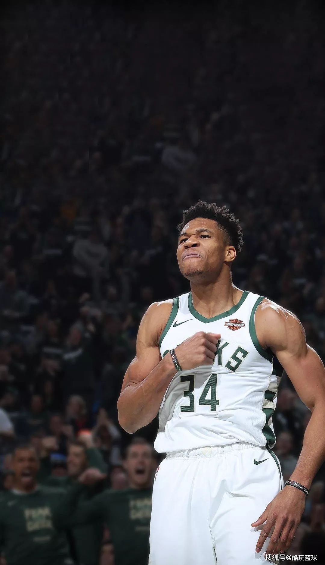 以此沉淀可 以此沉淀可